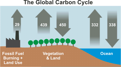 https://skepticalscience.com/images/Carbon_Cycle.gif