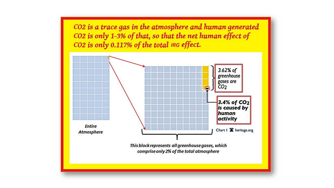 Percentage Co2 Manmade