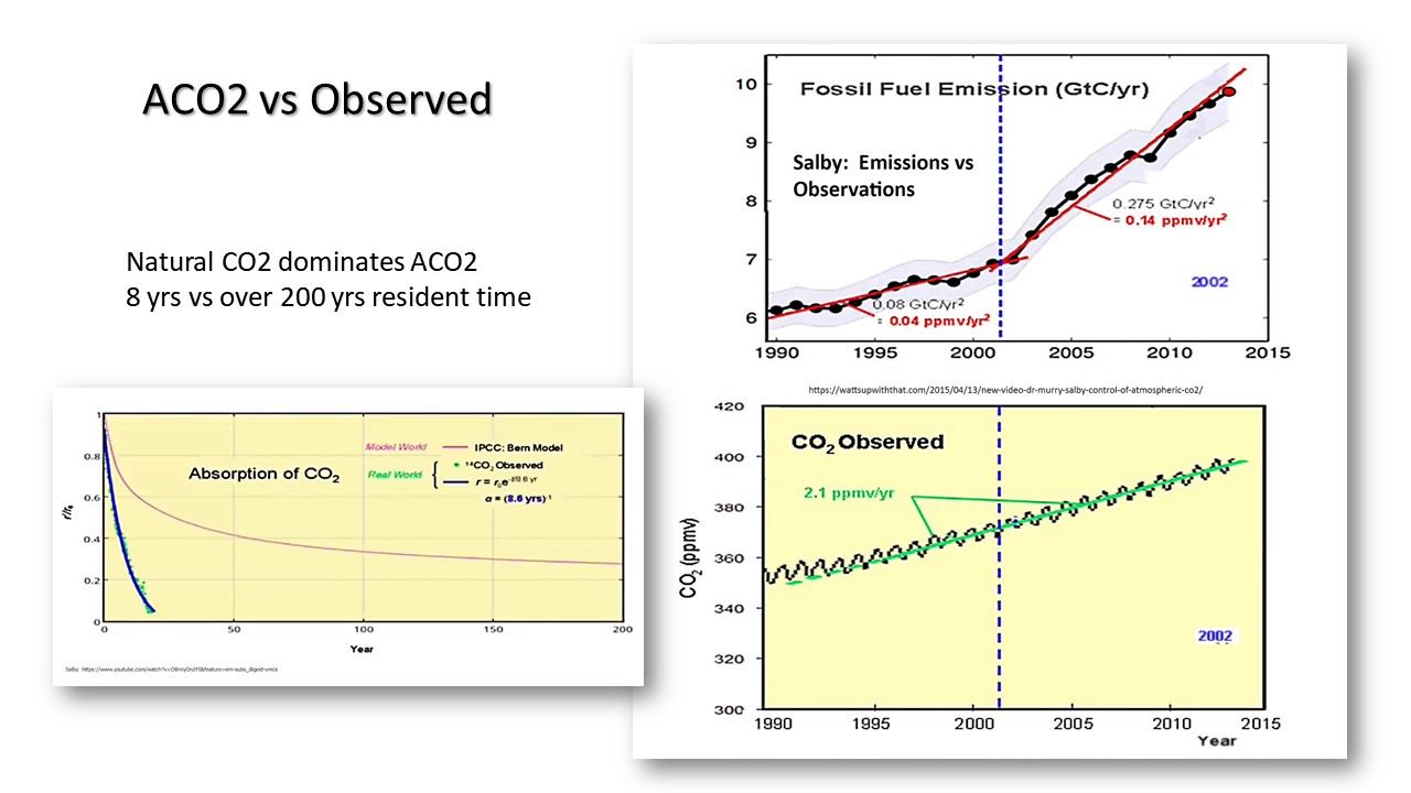 slide 31 C